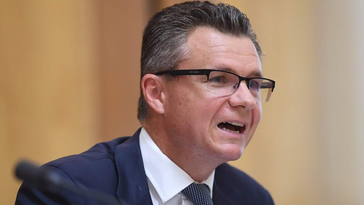 Labor MP Matt Thistlethwaite.