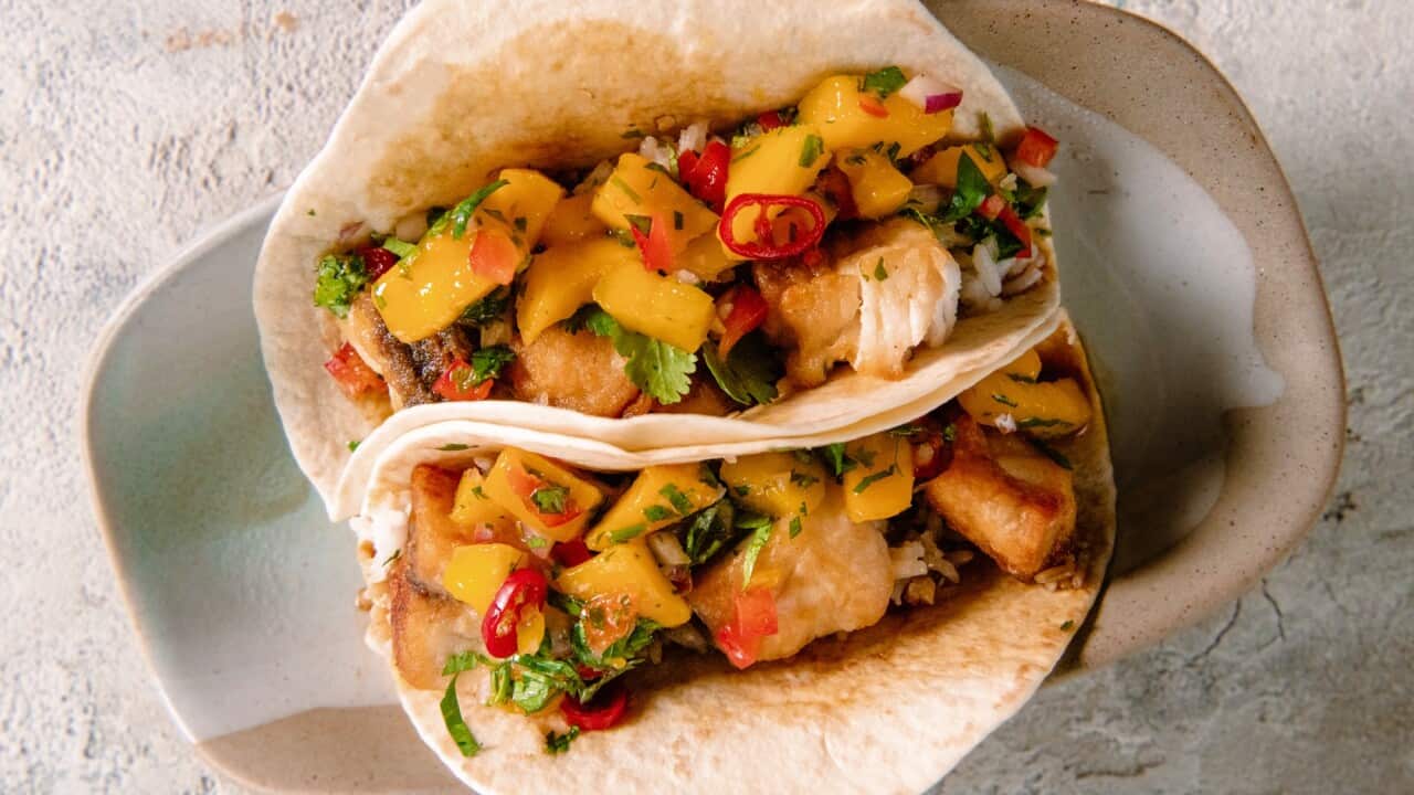 Barramundi tacos with mango salsa