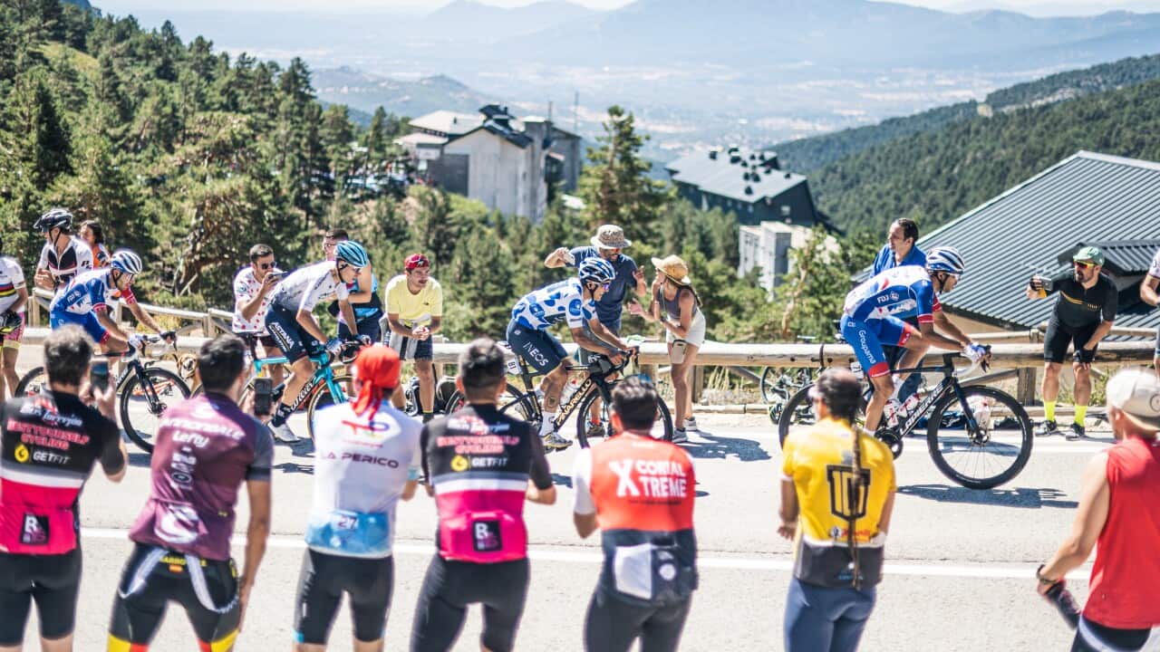 Image for read more article 'READ MORE'