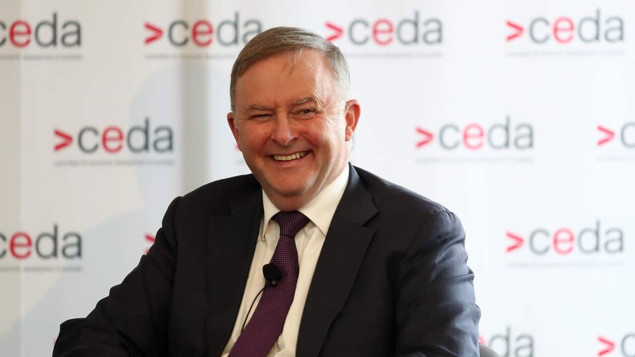 Leader of the opposition Anthony Albanese during a panel discussion to The Committee for Economic Development of Australia (CEDA) the at the State Reception Centre in Perth