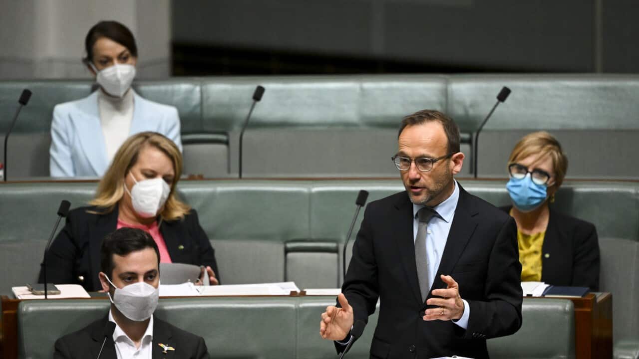 Adam Bandt