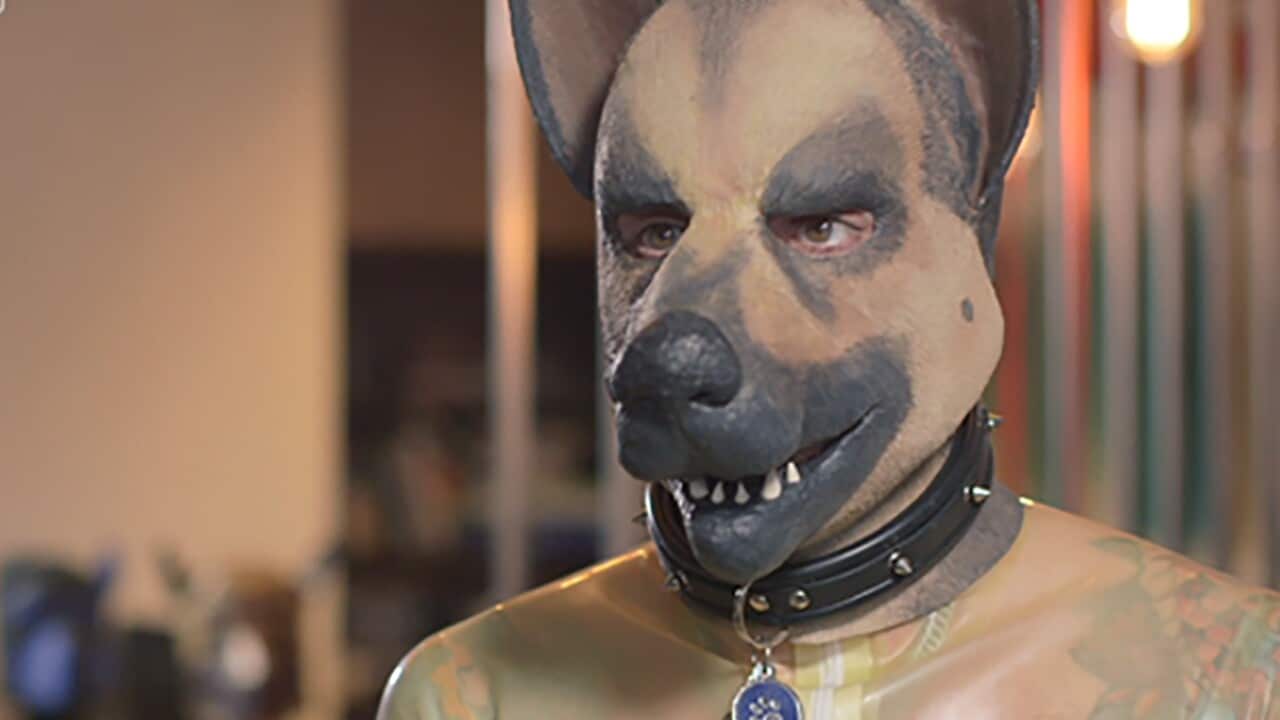 Image for read more article 'READ MORE'