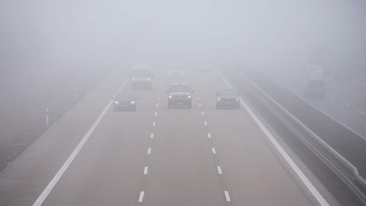 Fog in road traffic