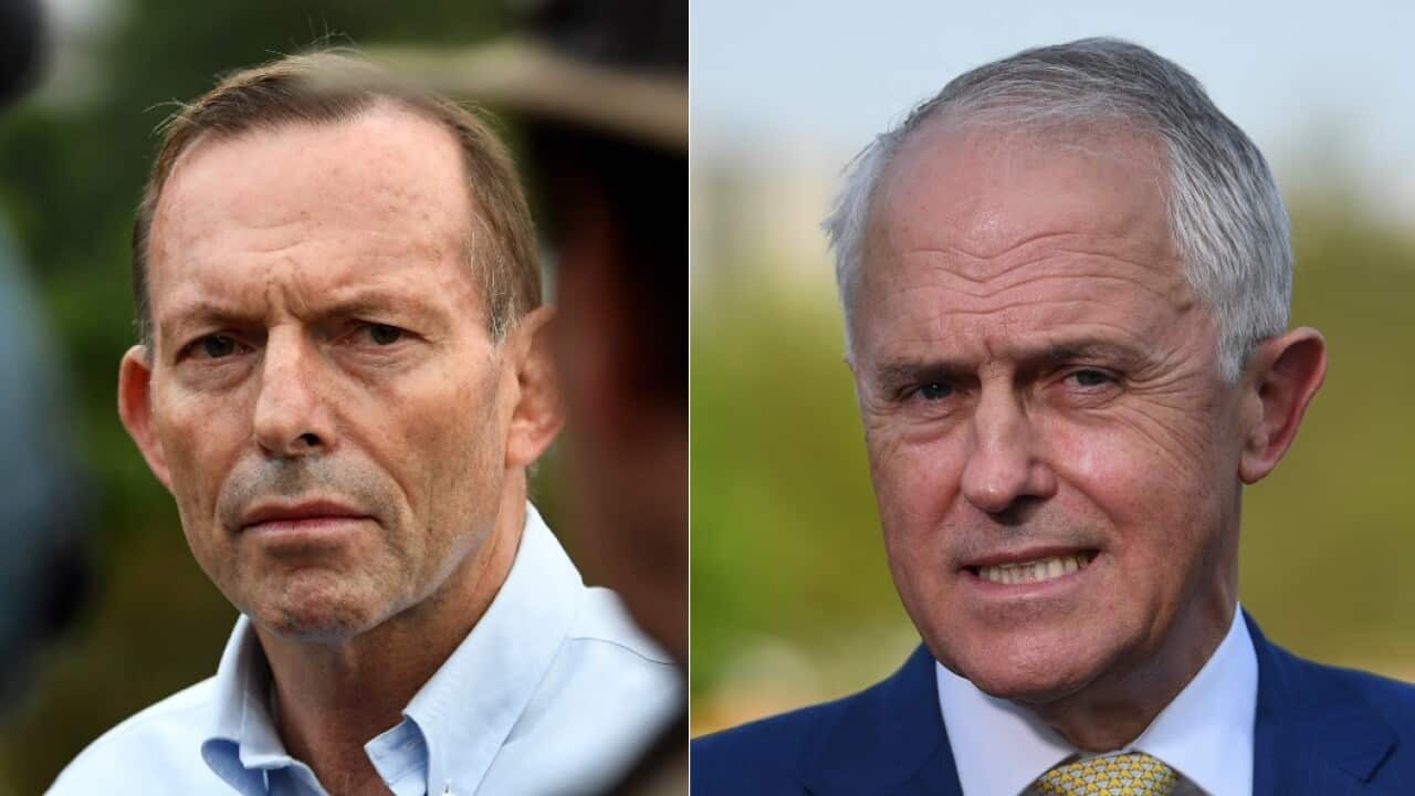 Former PM Tony Abbott and Prime Minister Malcolm Turnbull.