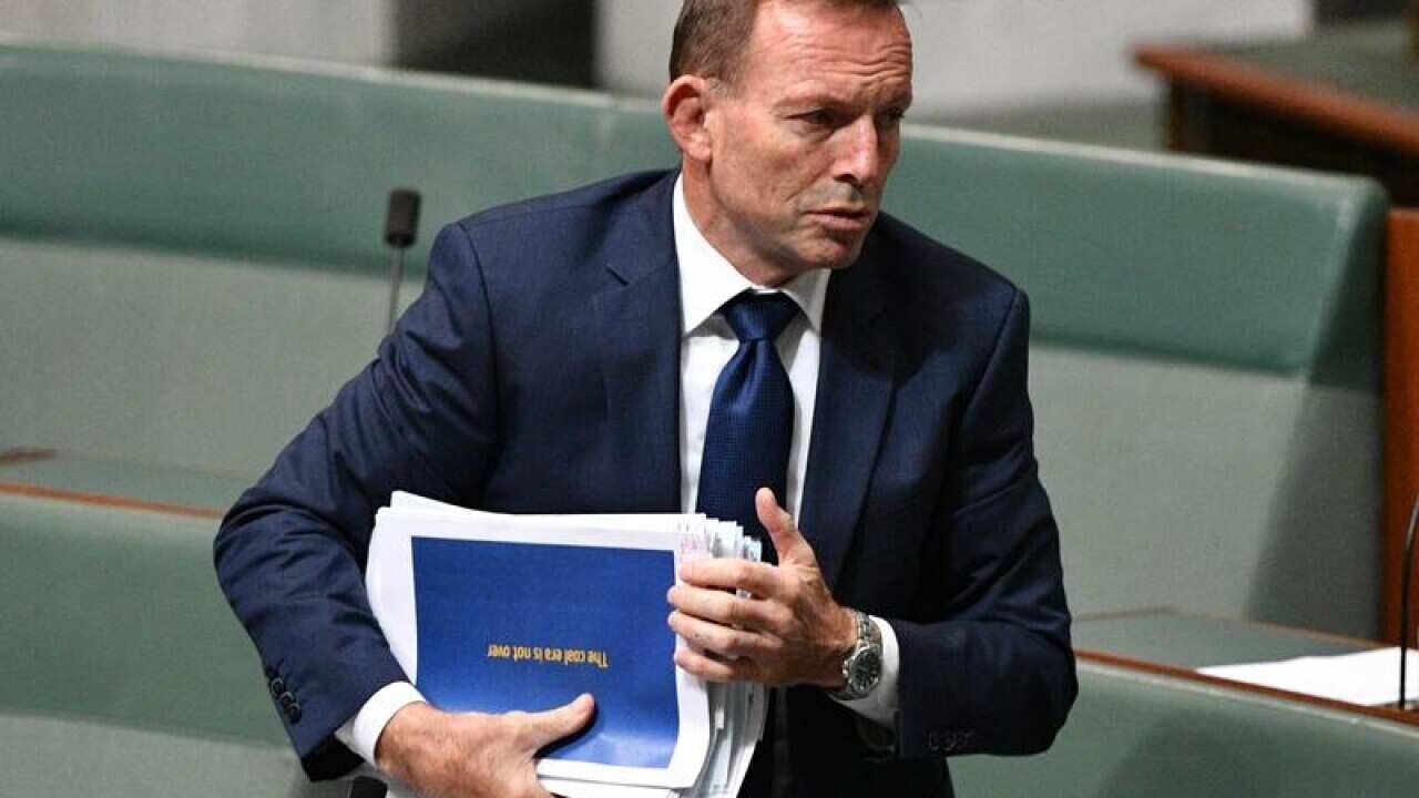 Tony Abbott