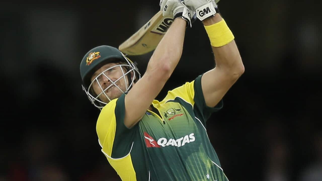 Sydney Thunder Big Bash League allrounder Shane Watson