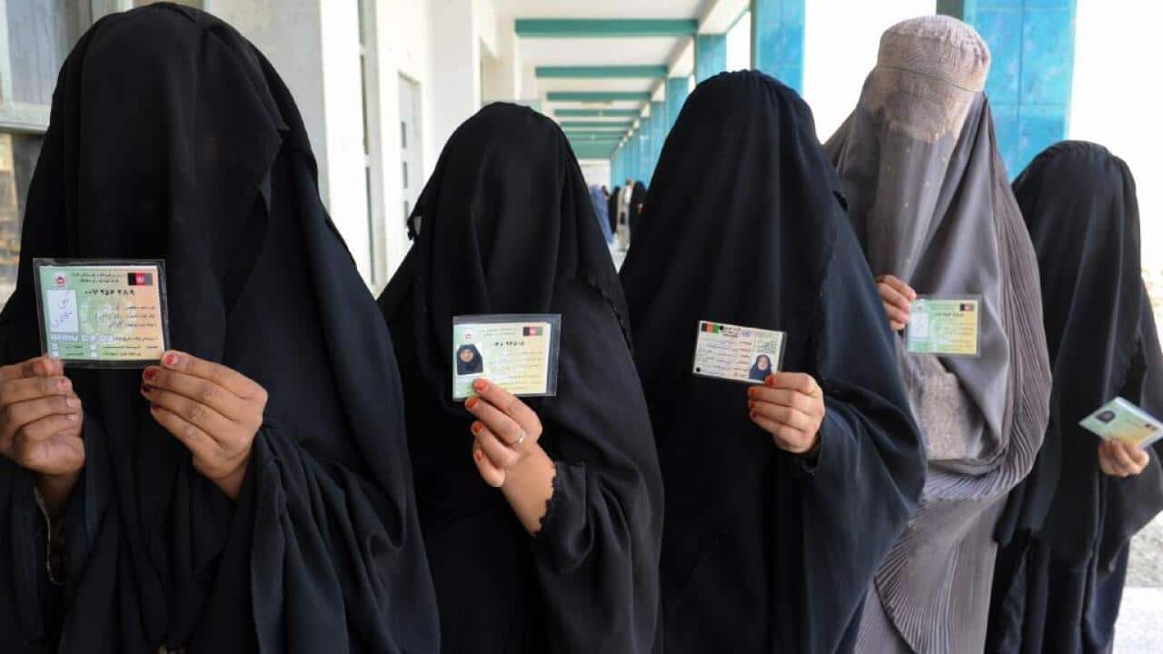 Image for read more article 'اقرأ المزيد'