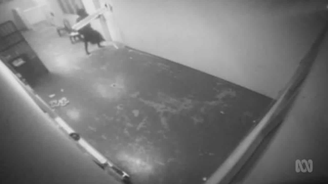 Image for read more article 'Related'