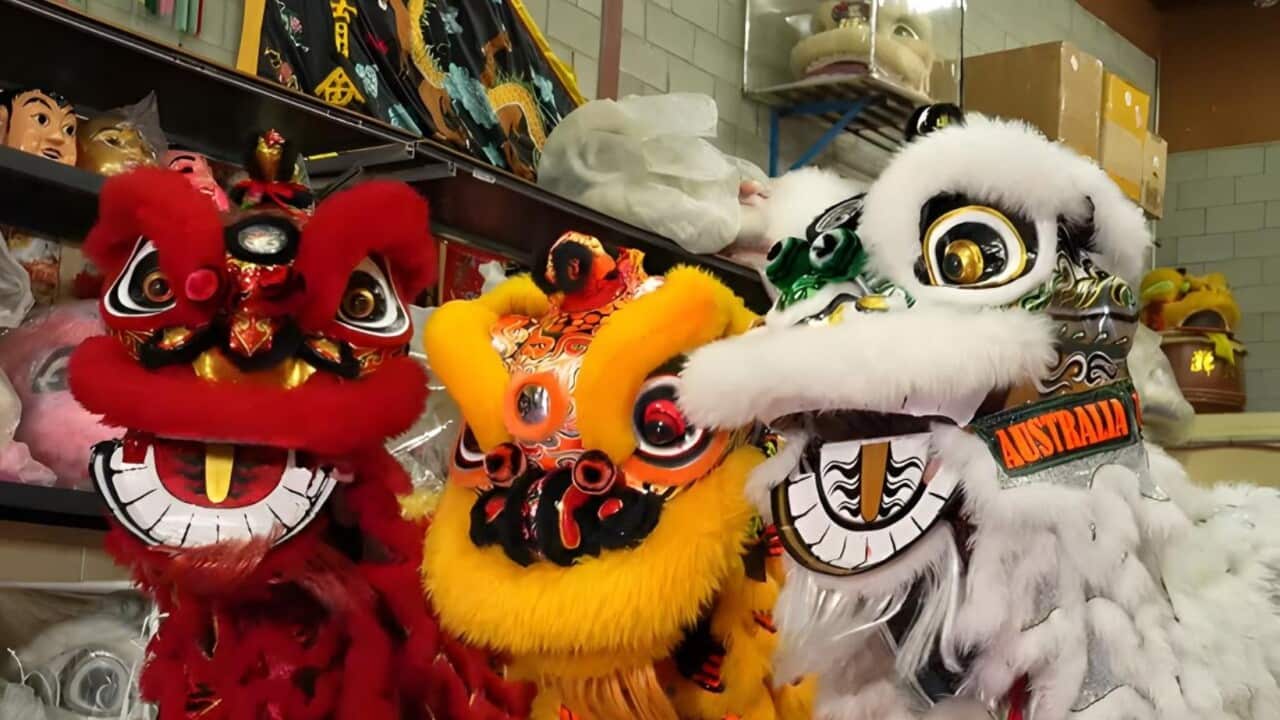 Brisbane's lion dancers (SBS).jpg