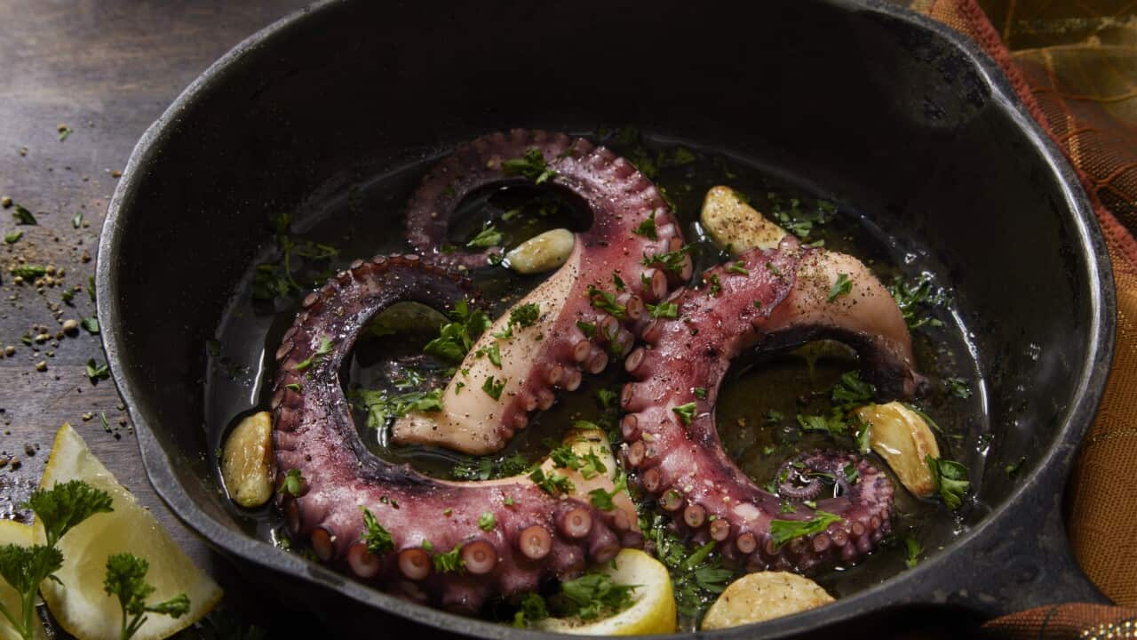 Pan Seared Octopus in Garlic and Lemon Infused Olive Oil