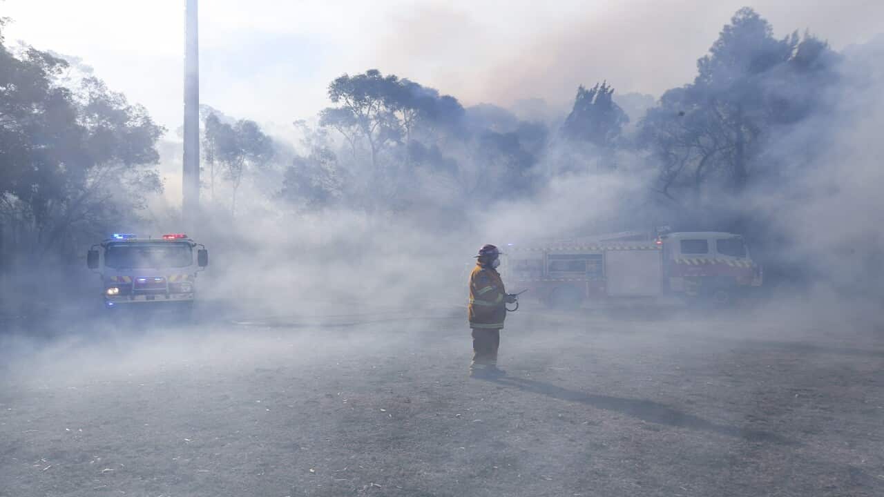 NSW fire fighters work on containing an out of control bushfire in Bomaderry near Nowra, Wednesday, August 15, 2018. (AAP Image/Lukas Coch)