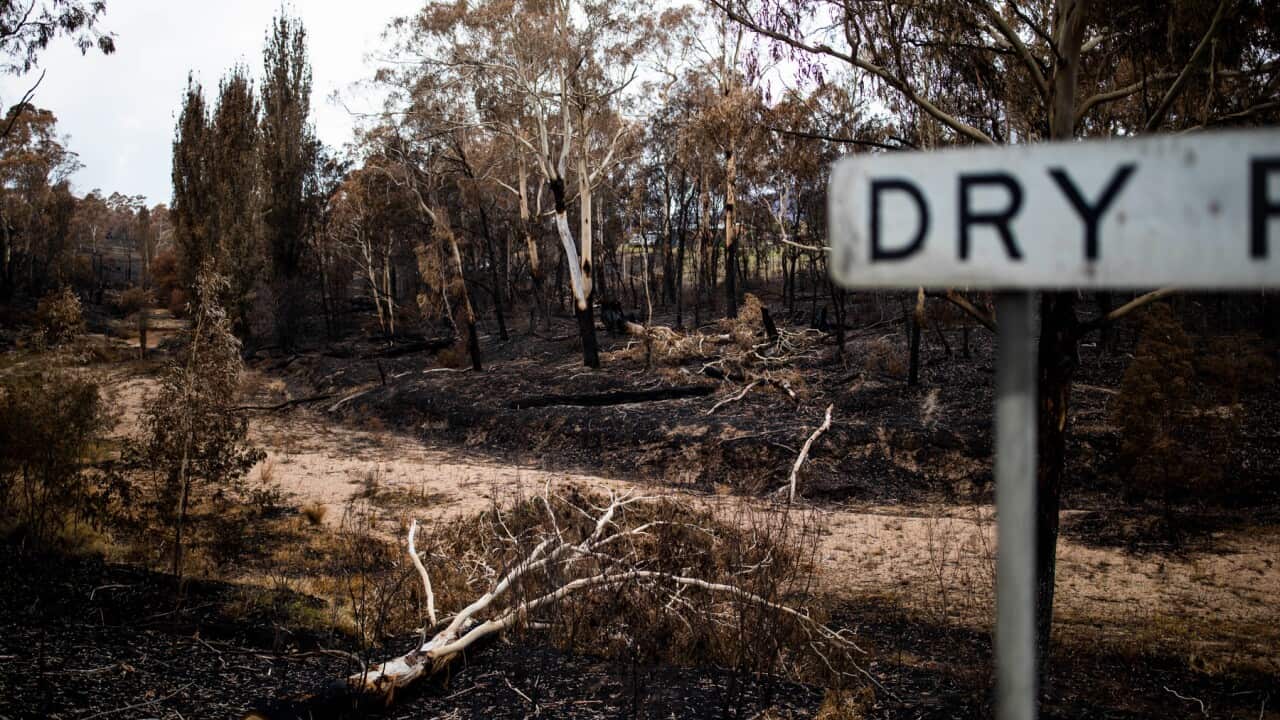 The recent bushfires on the South Coast of NSW were preceded by extended periods of drought