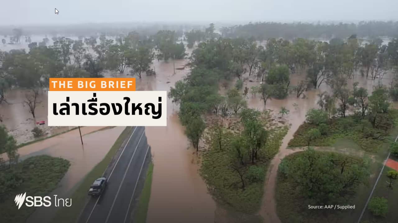 ALC THAI THE BIG BRIEF - BSP HEADER.png