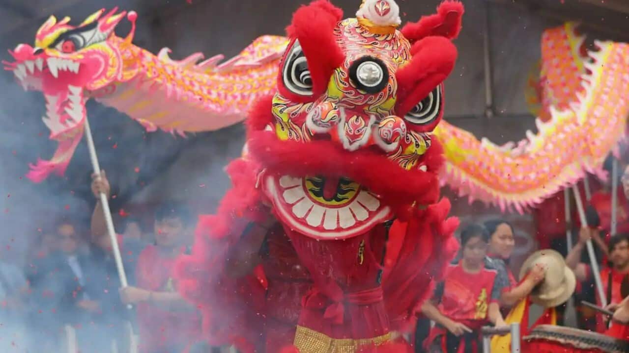 Leão Vermelho no Ano Novo Lunar.jpg