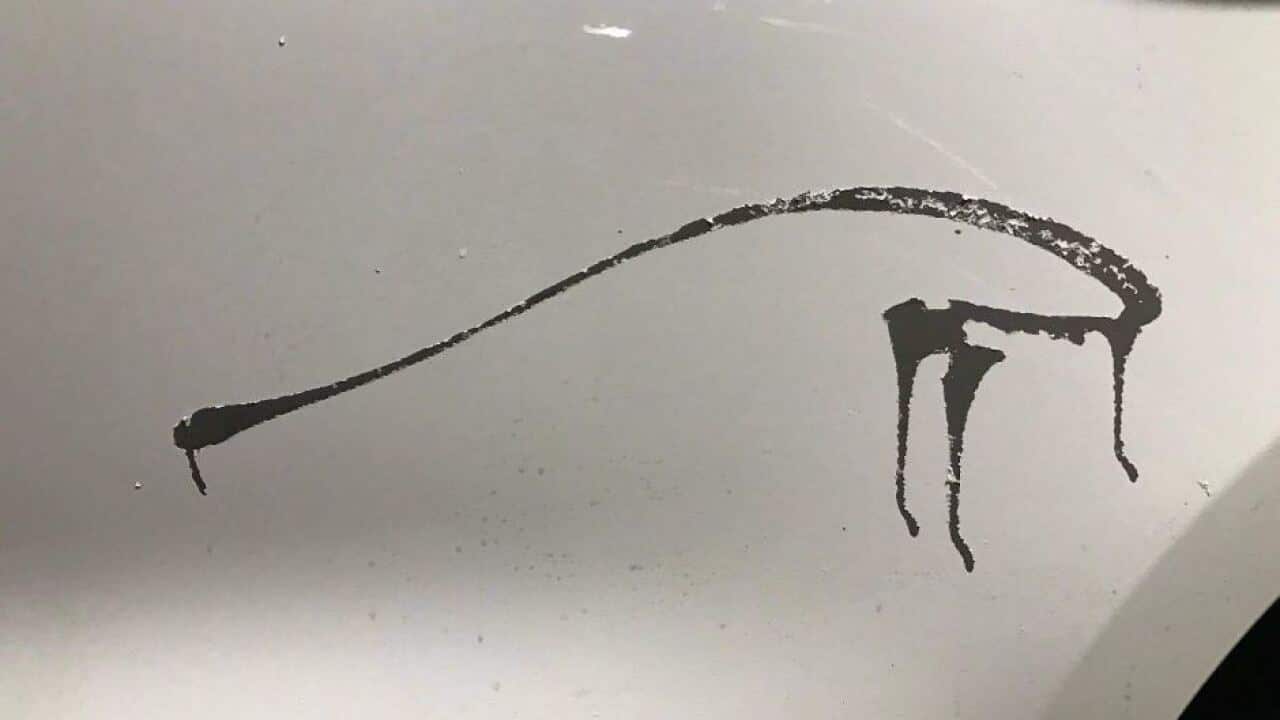 Ryde acid car