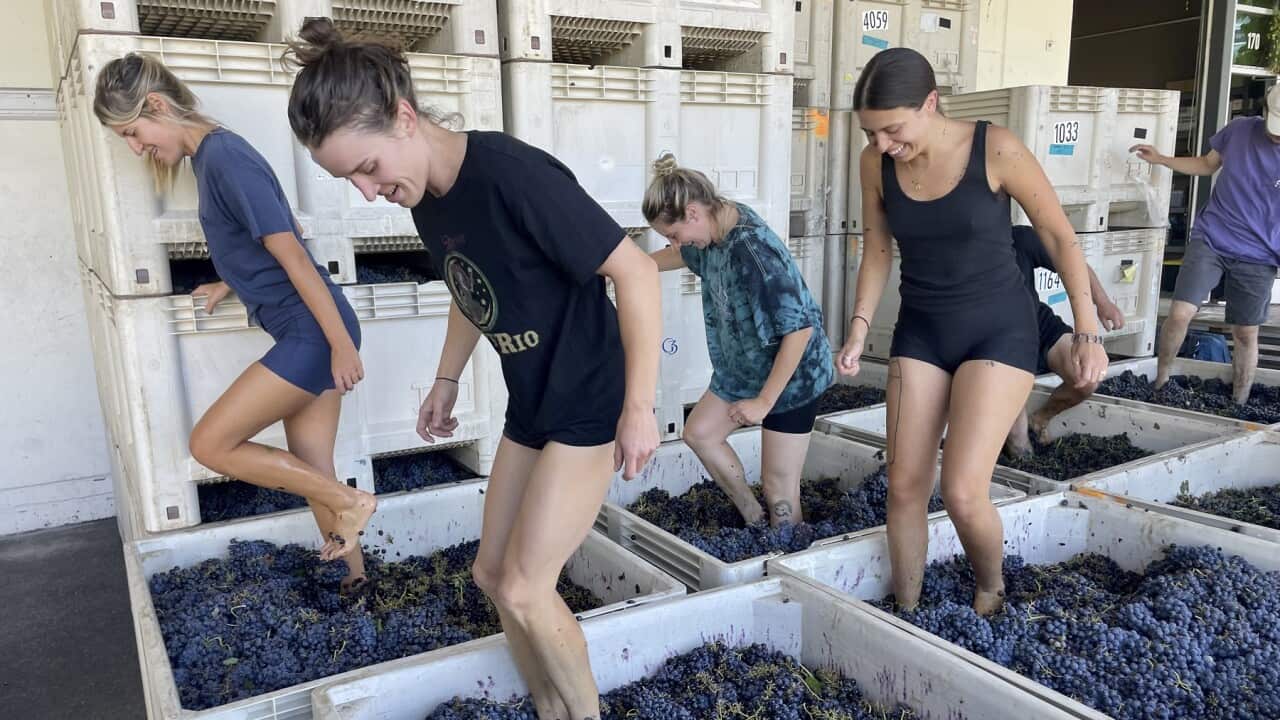 Image for read more article 'READ MORE'