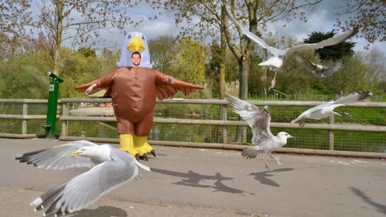 Image for read more article ''