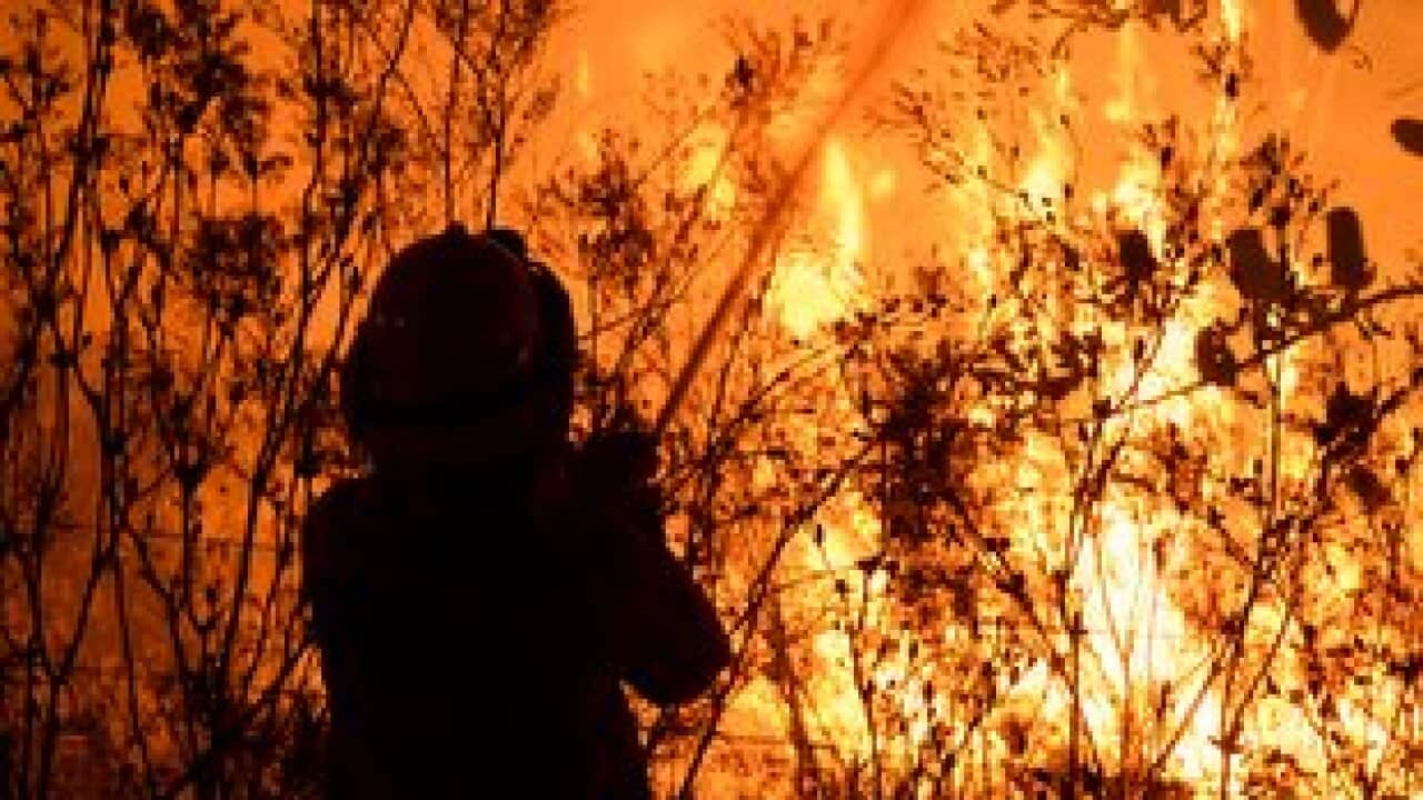 bush-fire