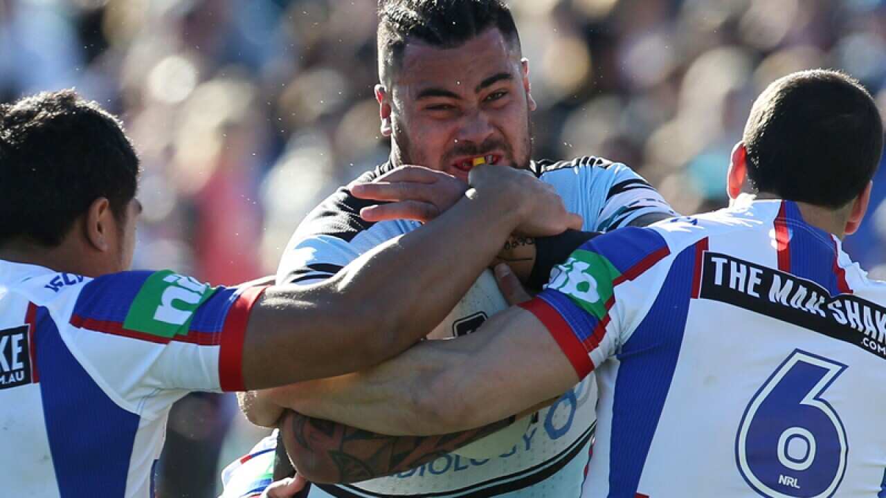 Andrew Fifita of the Sharks
