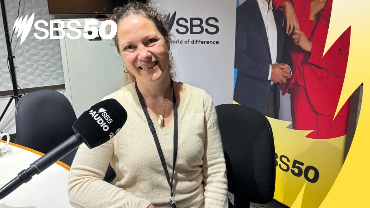 Copy of 03 SBS50 YOUTUBE THUMBNAIL (Trailer).png