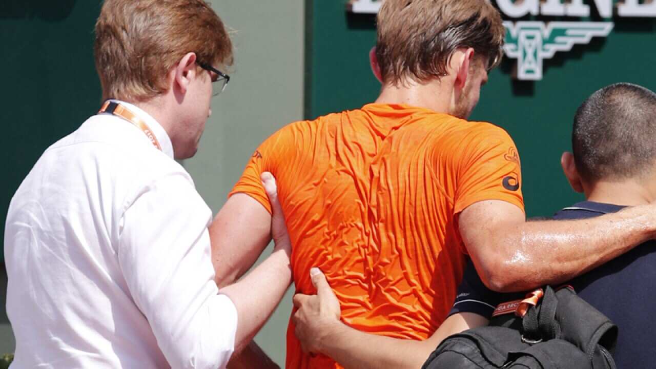 David Goffin