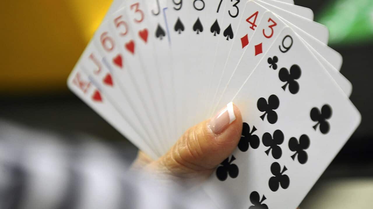 Bridge players get passports back