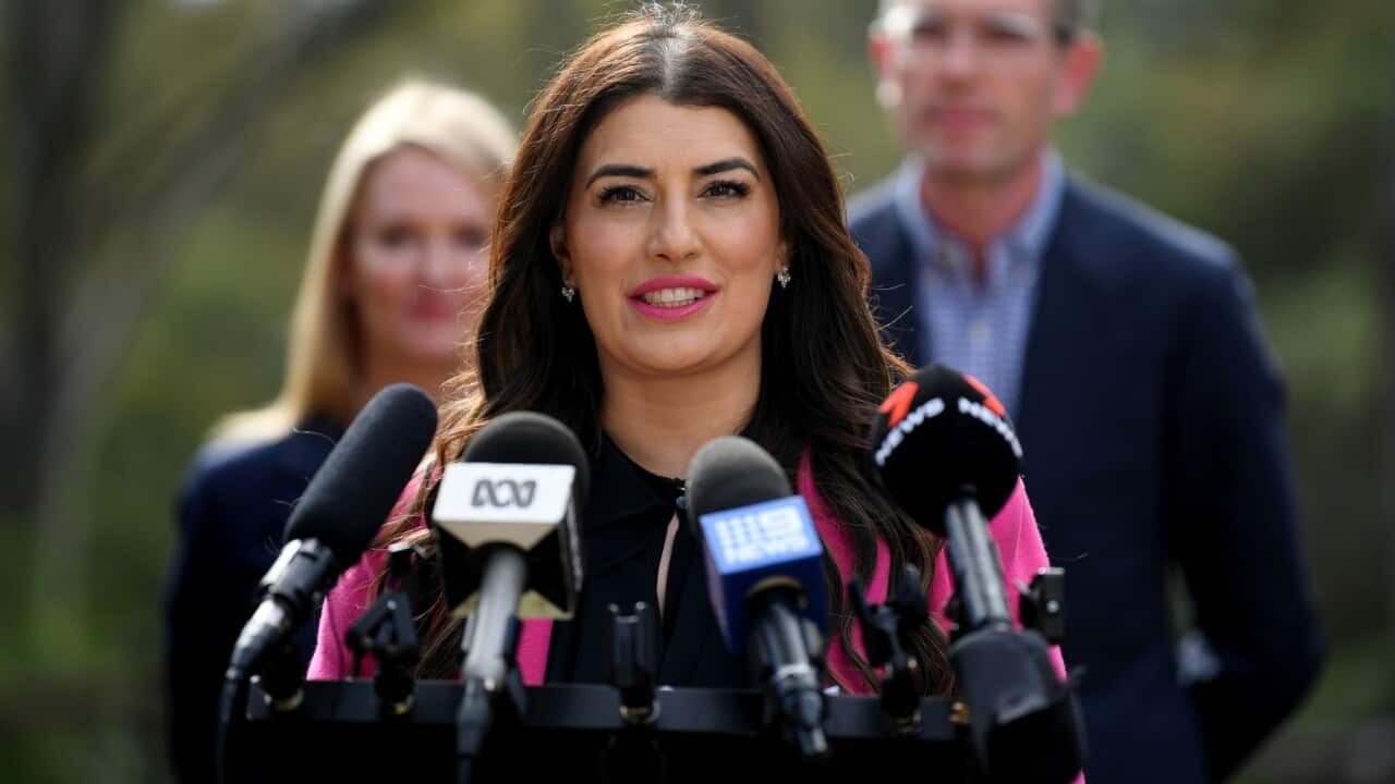Greek-Australian politician, Eleni Petinos