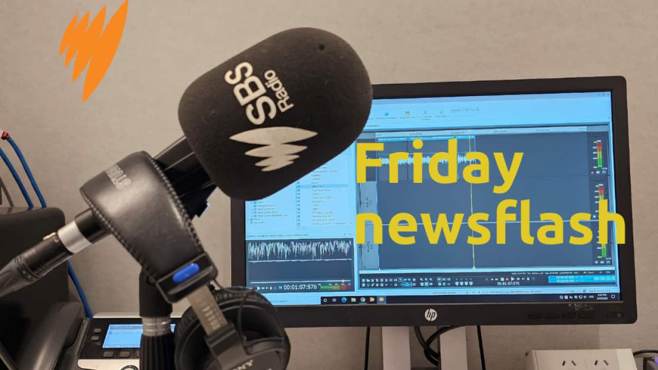 Friday newsflash - SBS.png