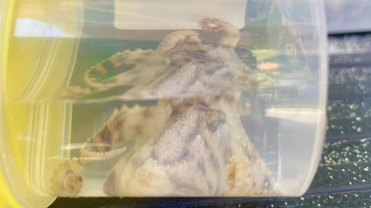 Image for read more article '更多內容'