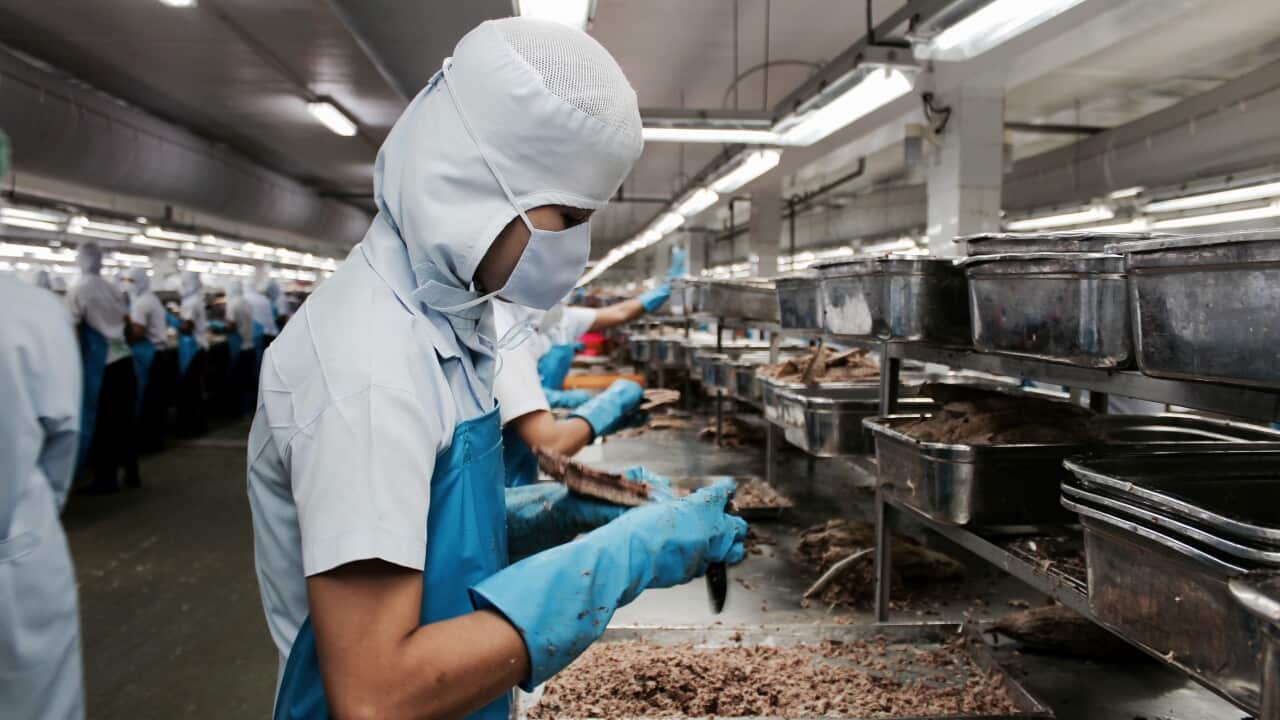 Thousands of refugee and asylum seeker workers will lose their job due to the coronavirus economic downturn. 