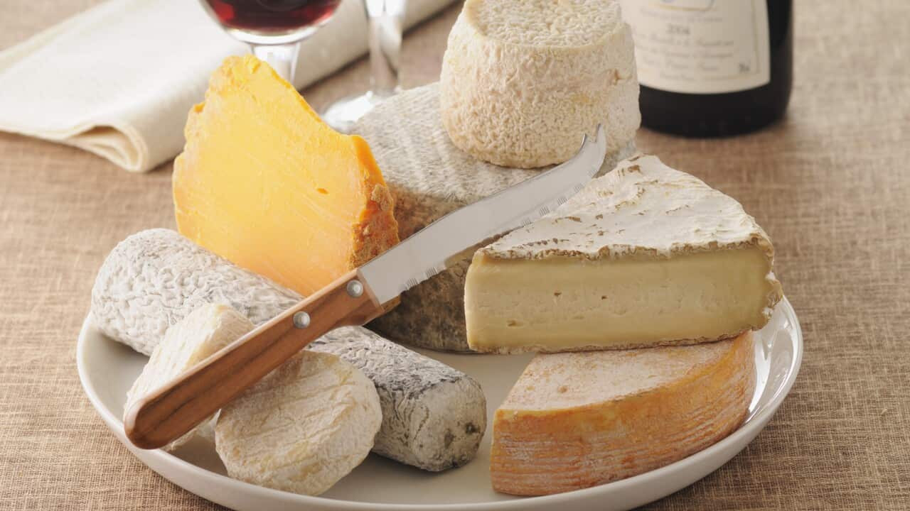 Cheese plate with wine