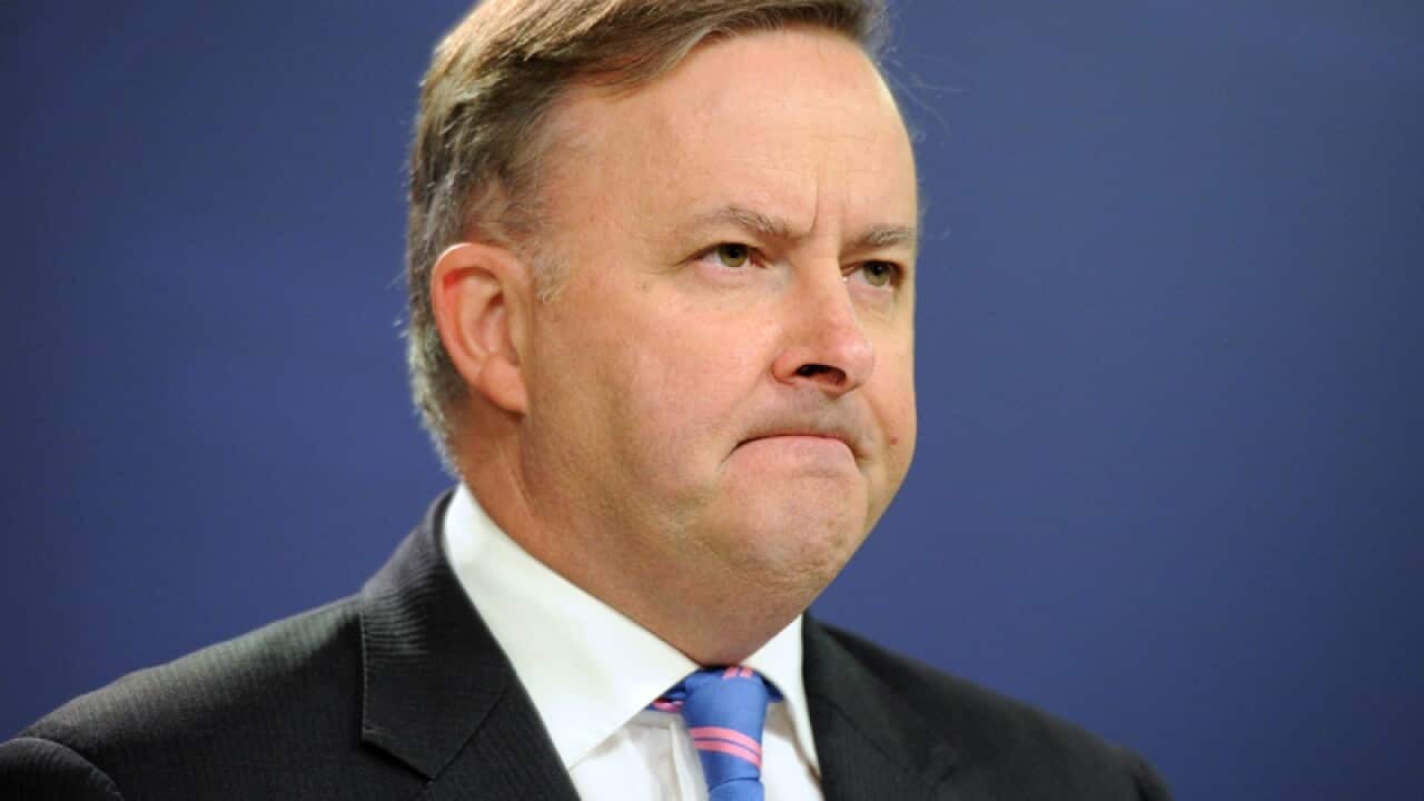 Shadow Minister for Infrastructure and Transport Anthony Albanese.