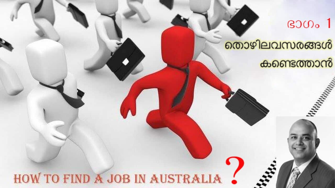 Job Series
