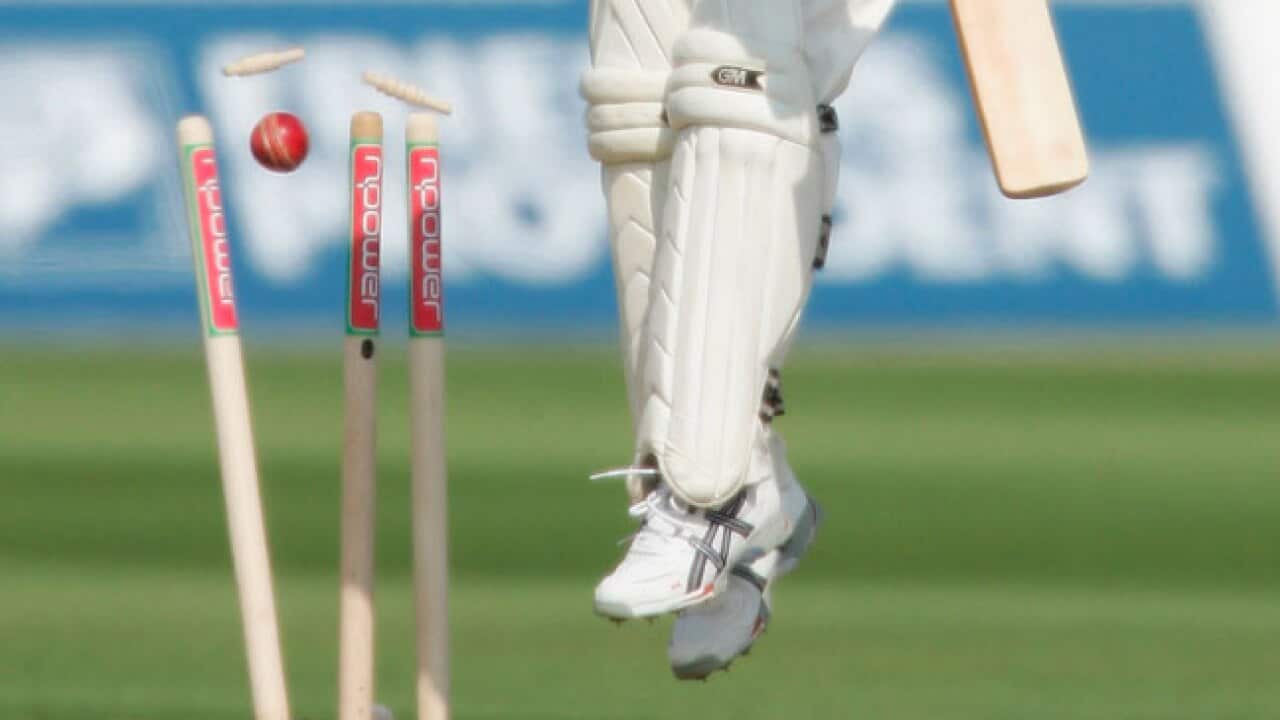 cricket5_120131_b_getty_1384129744