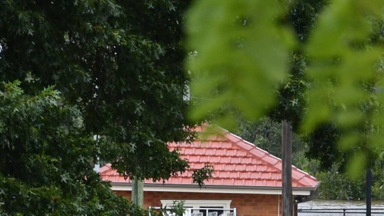 Two bodies found in Western Sydney floodwater likely missing mother and ...