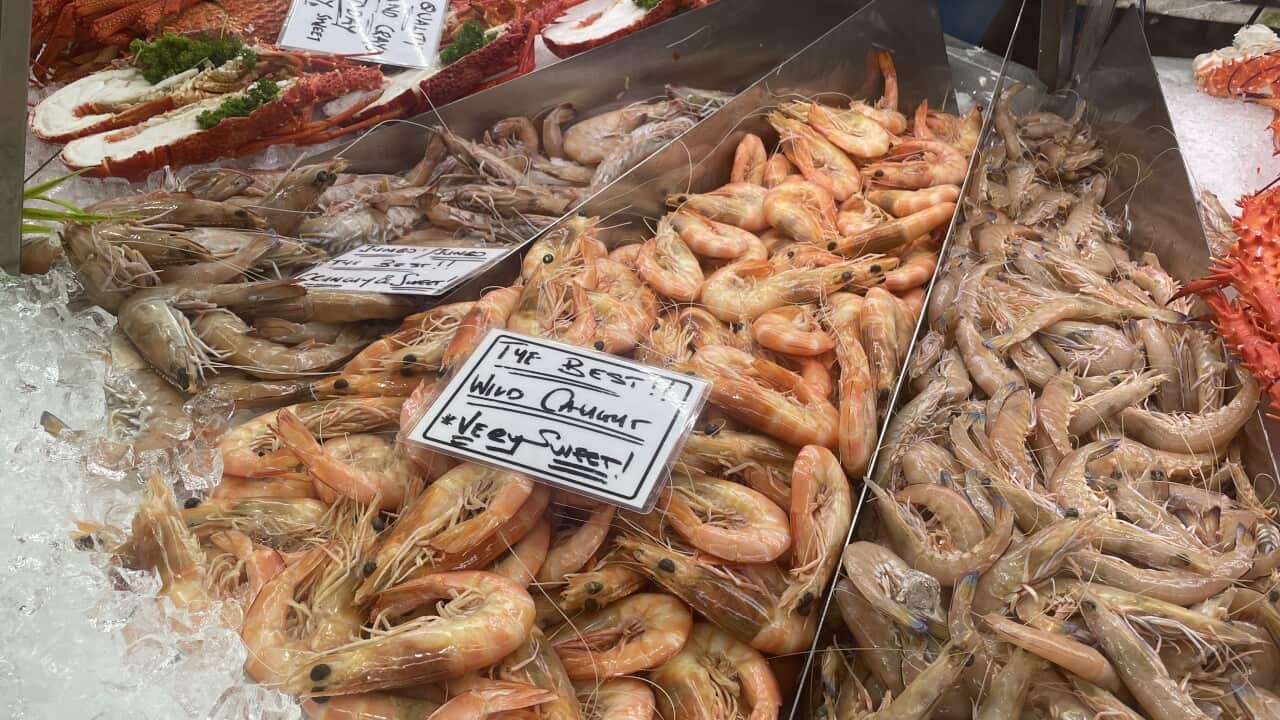 Prawns.jpeg