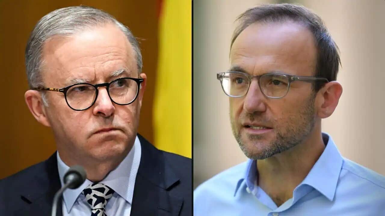 Anthony Albanese (left) has called on Adam Bandt to "reconsider his position".