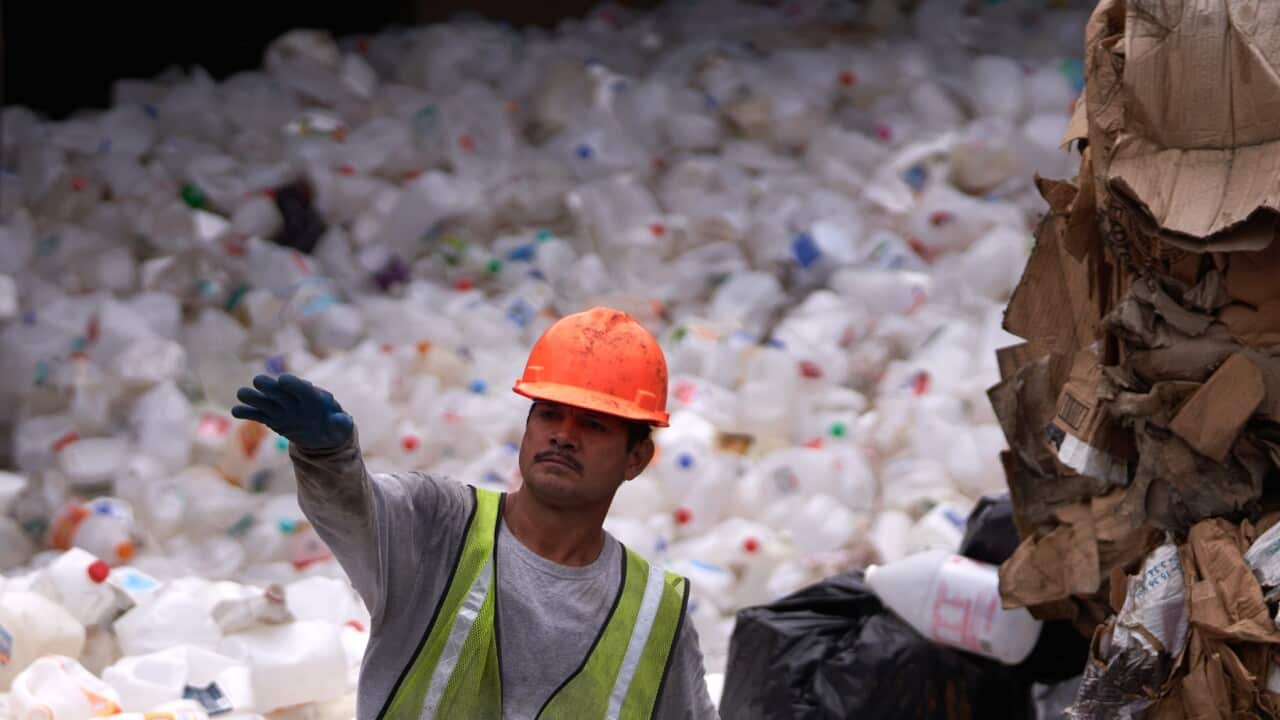 USA PHOTO SET WORLD ENVIRONMENT DAY 2023 PLASTIC WASTES