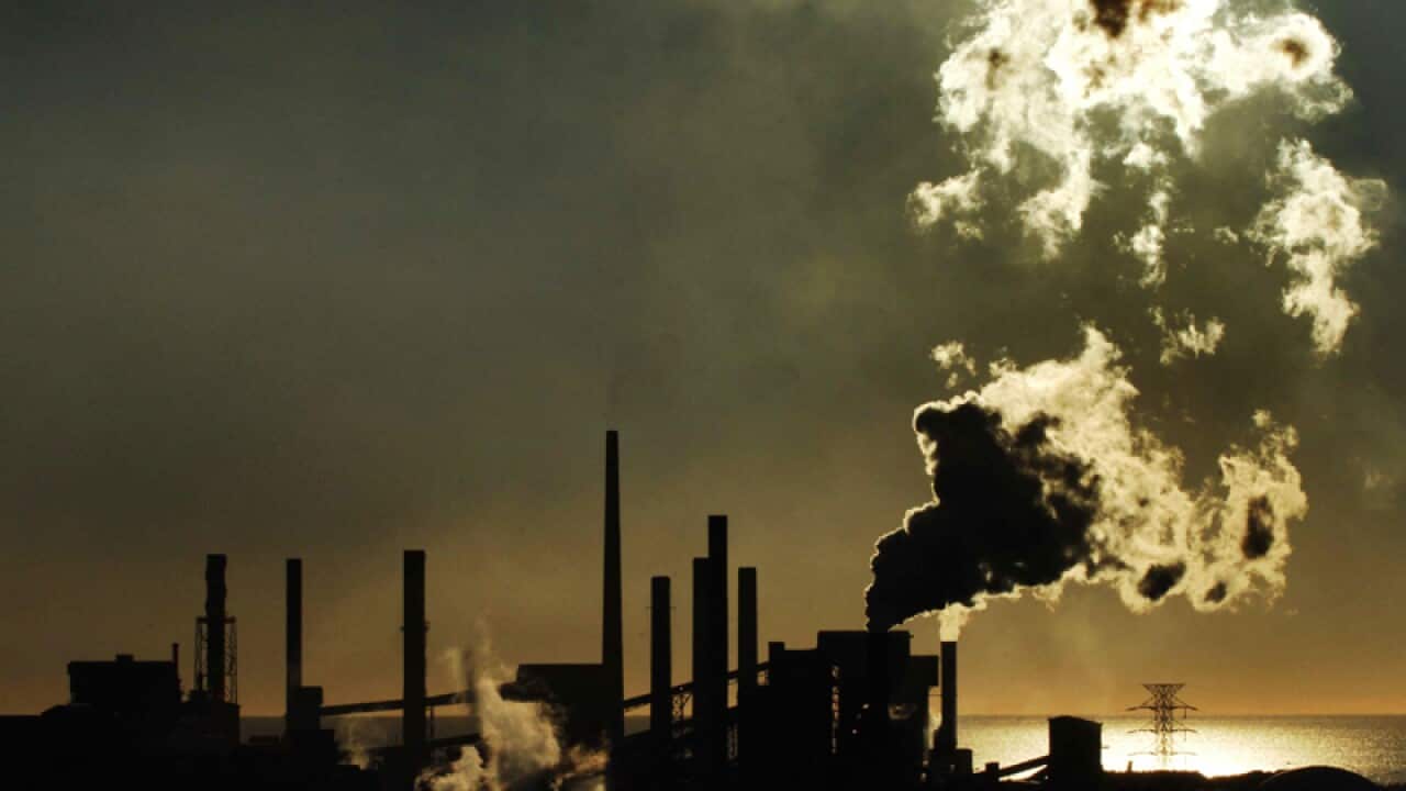Easing attitude to carbon tax: study