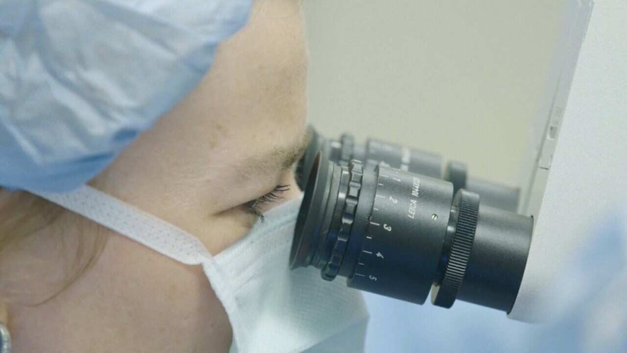A researcher examines a specimen - AP.jpg