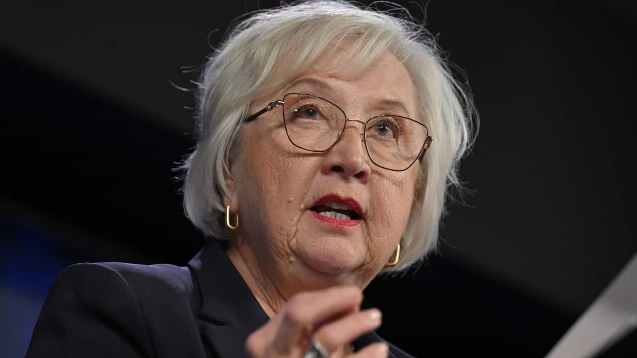 National Children's Commissioner Anne Hollonds at the National Press Club in Canberra.