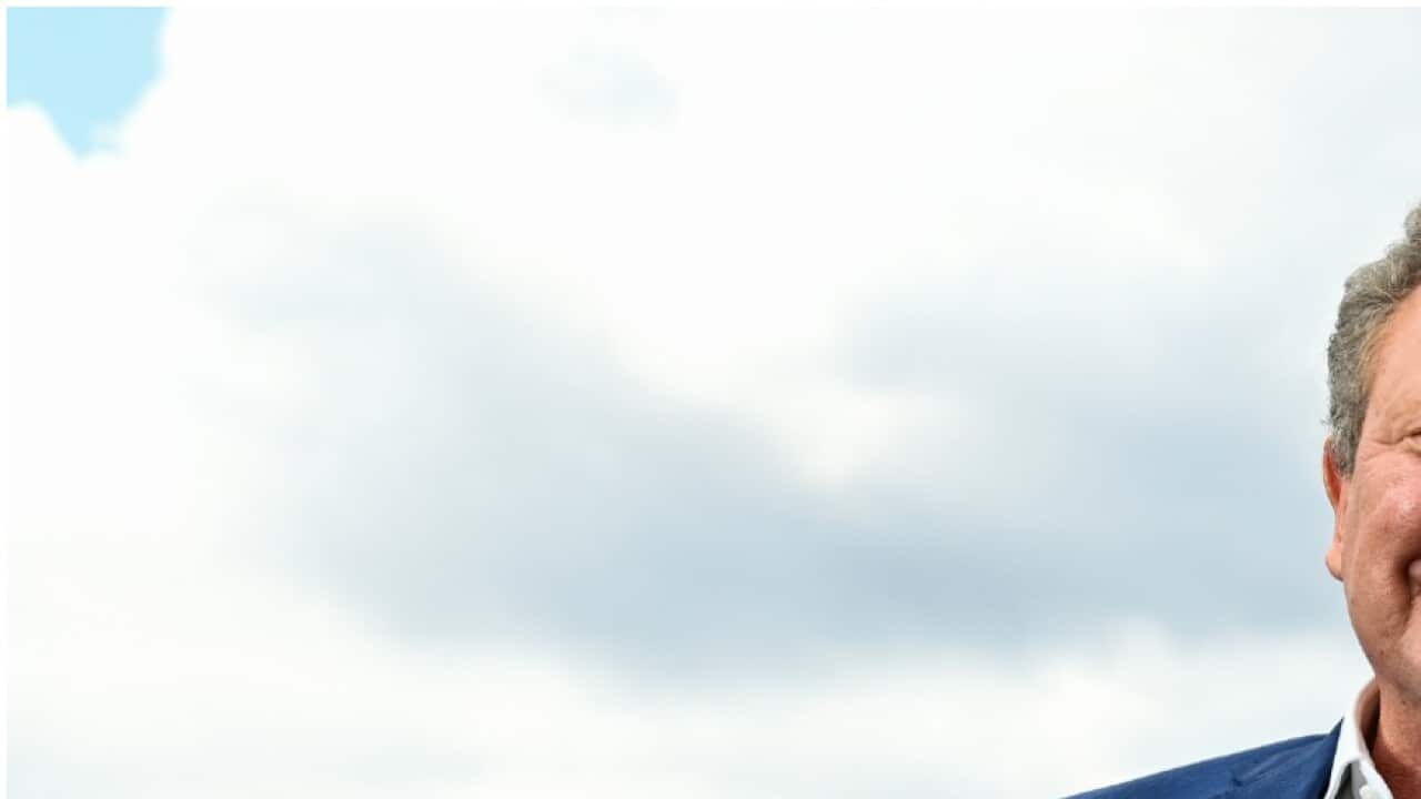 Mining billionaire Andrew Forrest launches criminal proceedings against  Facebook | SBS News