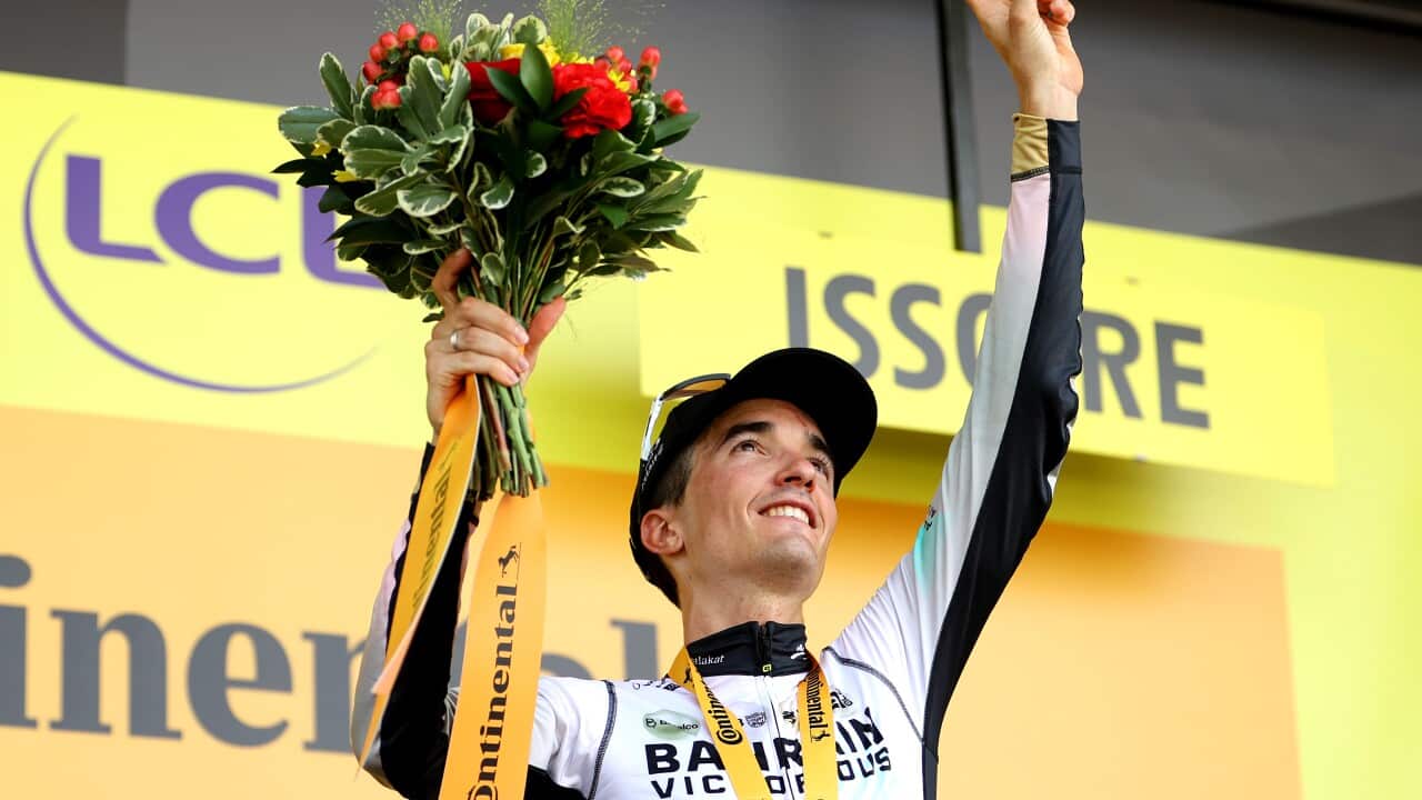 Image for read more article 'READ MORE'