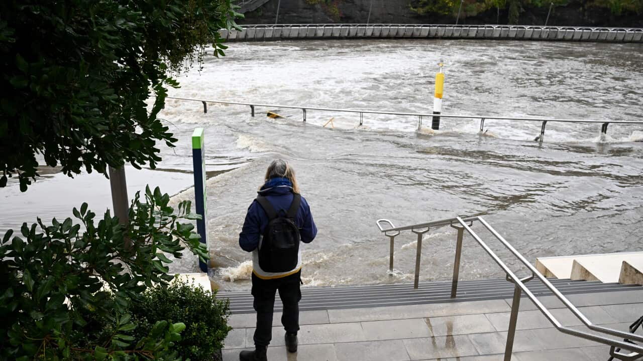 A person standing on stairs above a river that has flooded.