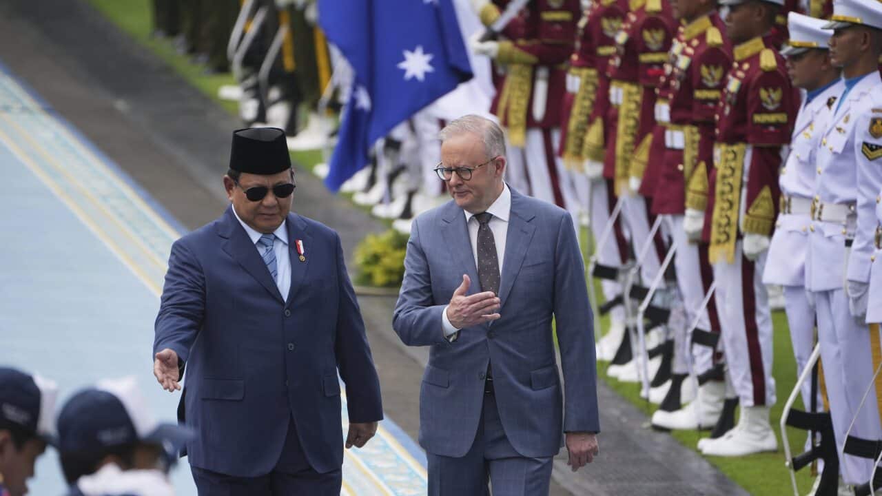 Anthony Albanese,Prabowo Subianto
