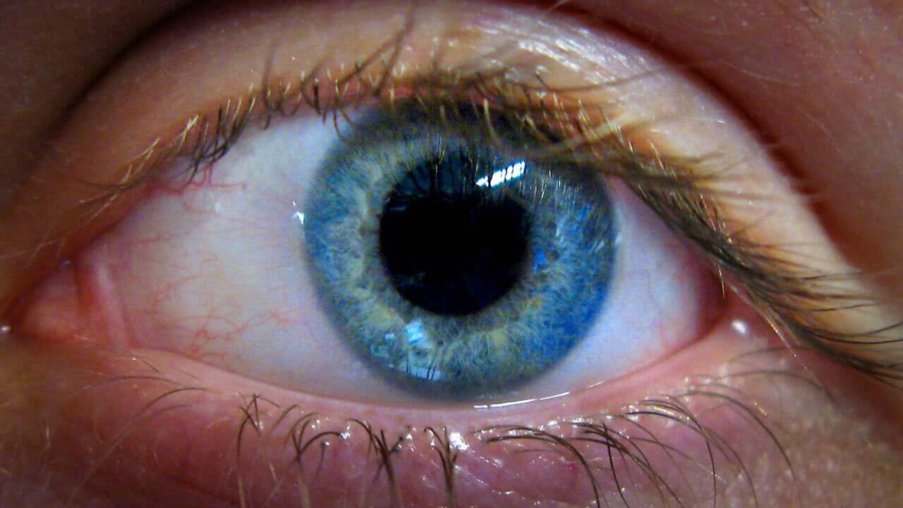 The vitamin supplement that could prevent blindness SBS News