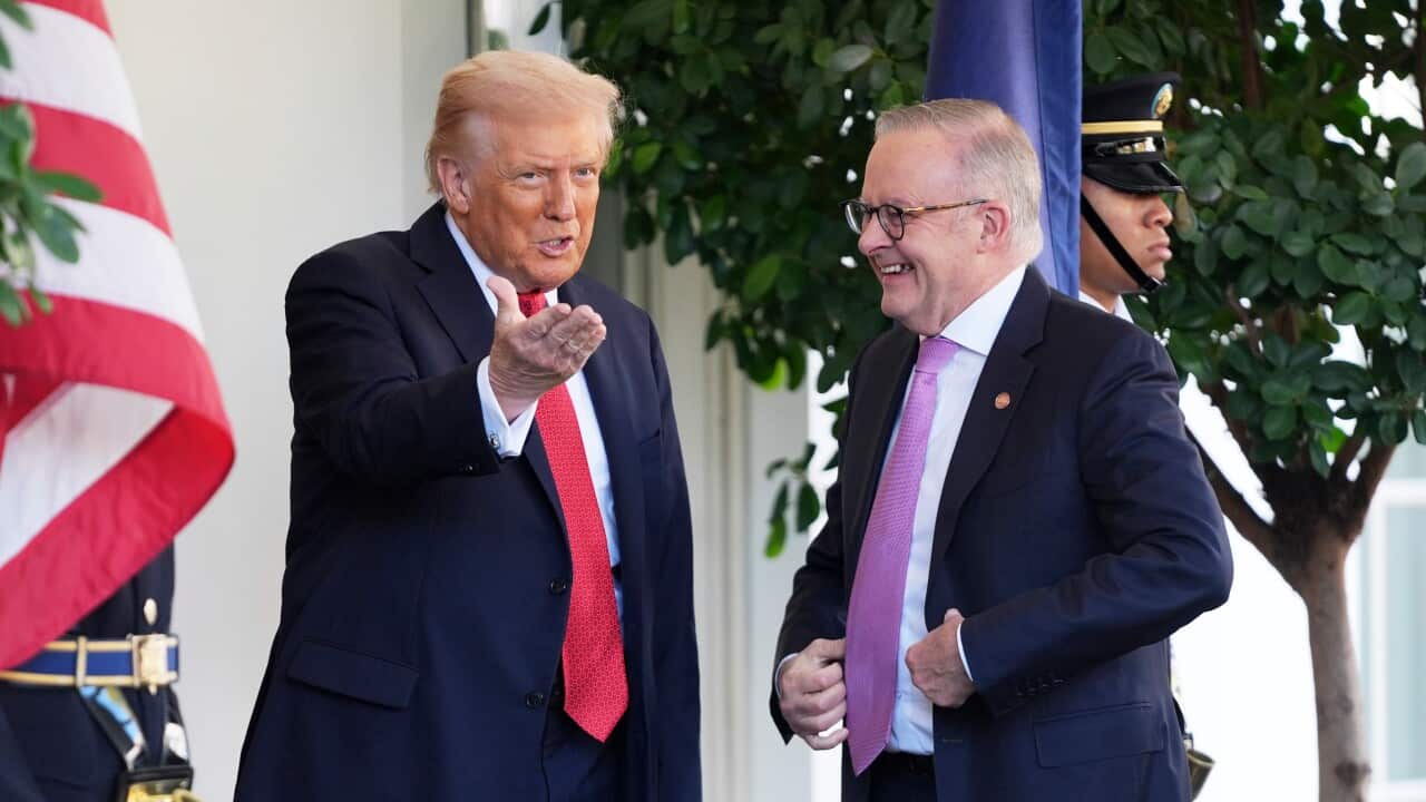 Donald Trump,Anthony Albanese
