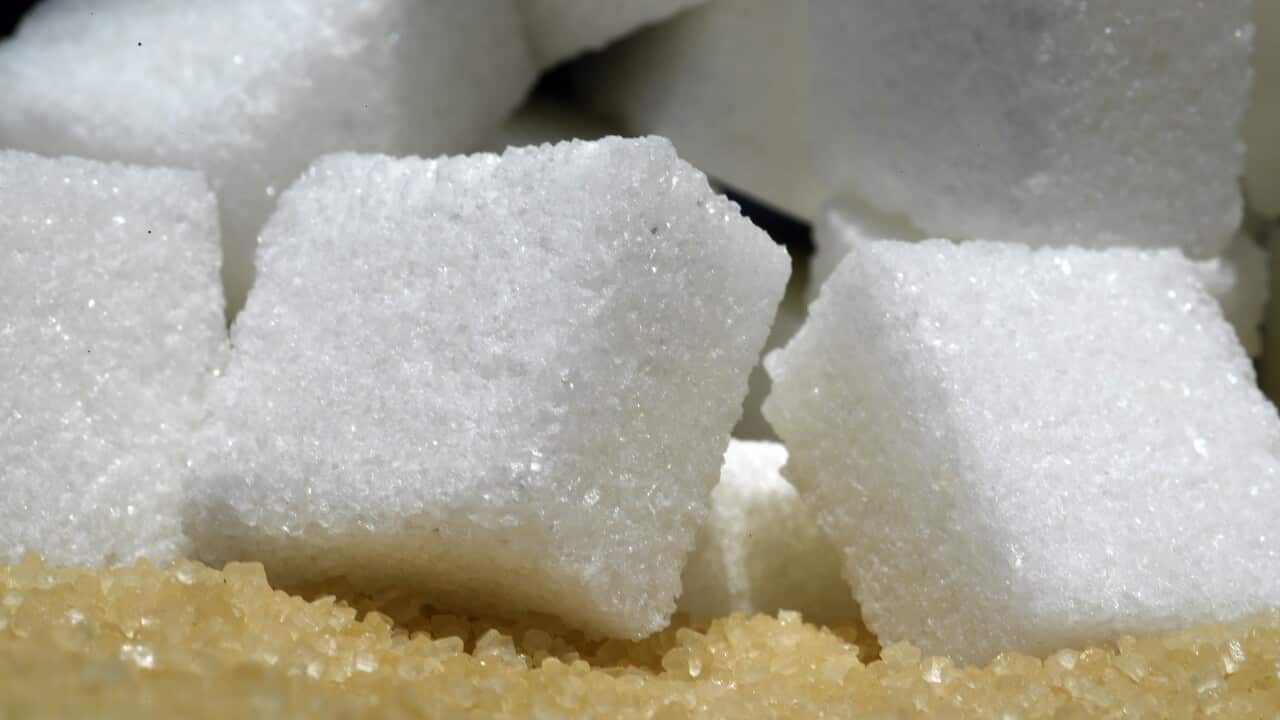 SUGAR STOCK