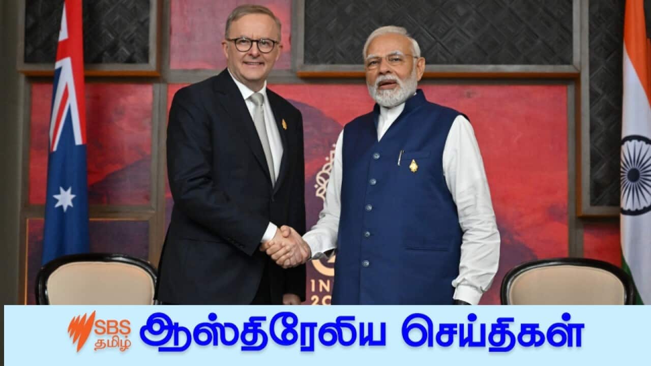 News 20 Nov.jpg