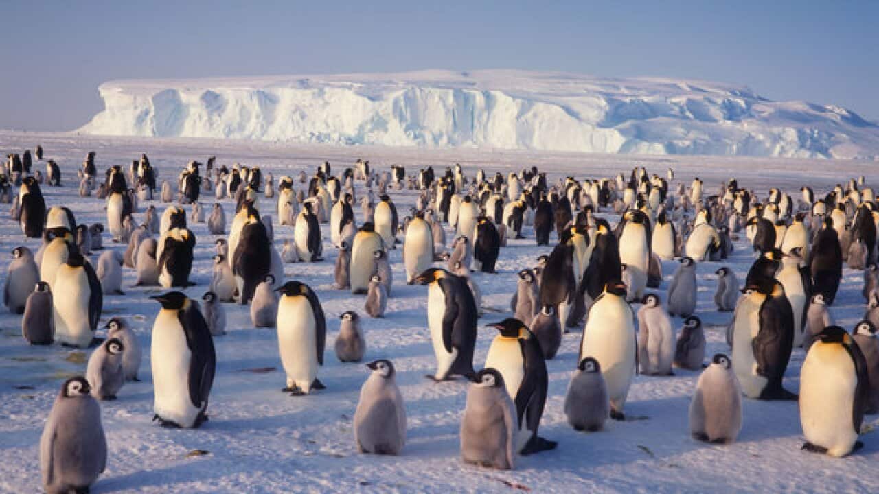 Image for read more article 'Δείτε ακόμη'